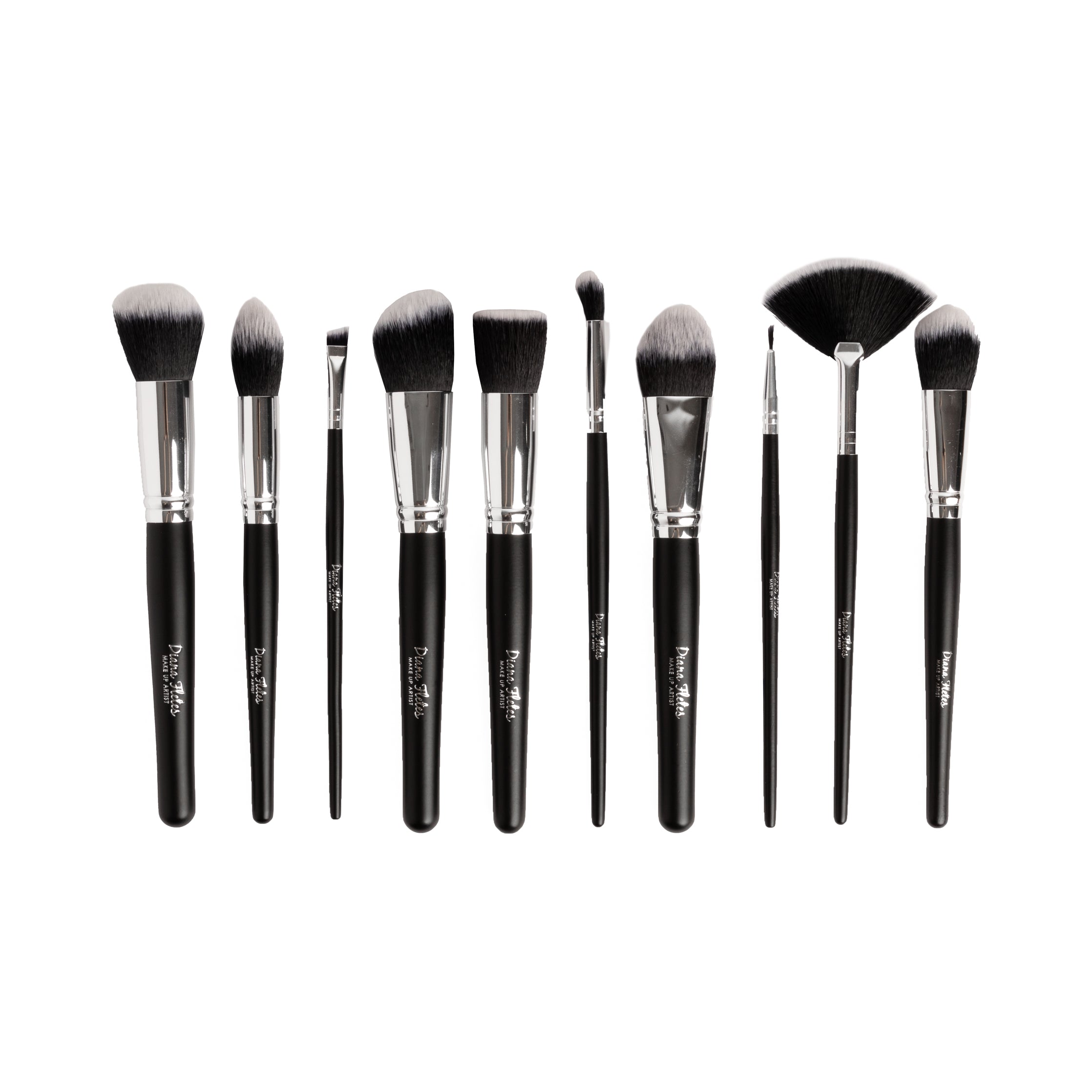 Professional Brush Set Diana Fletes