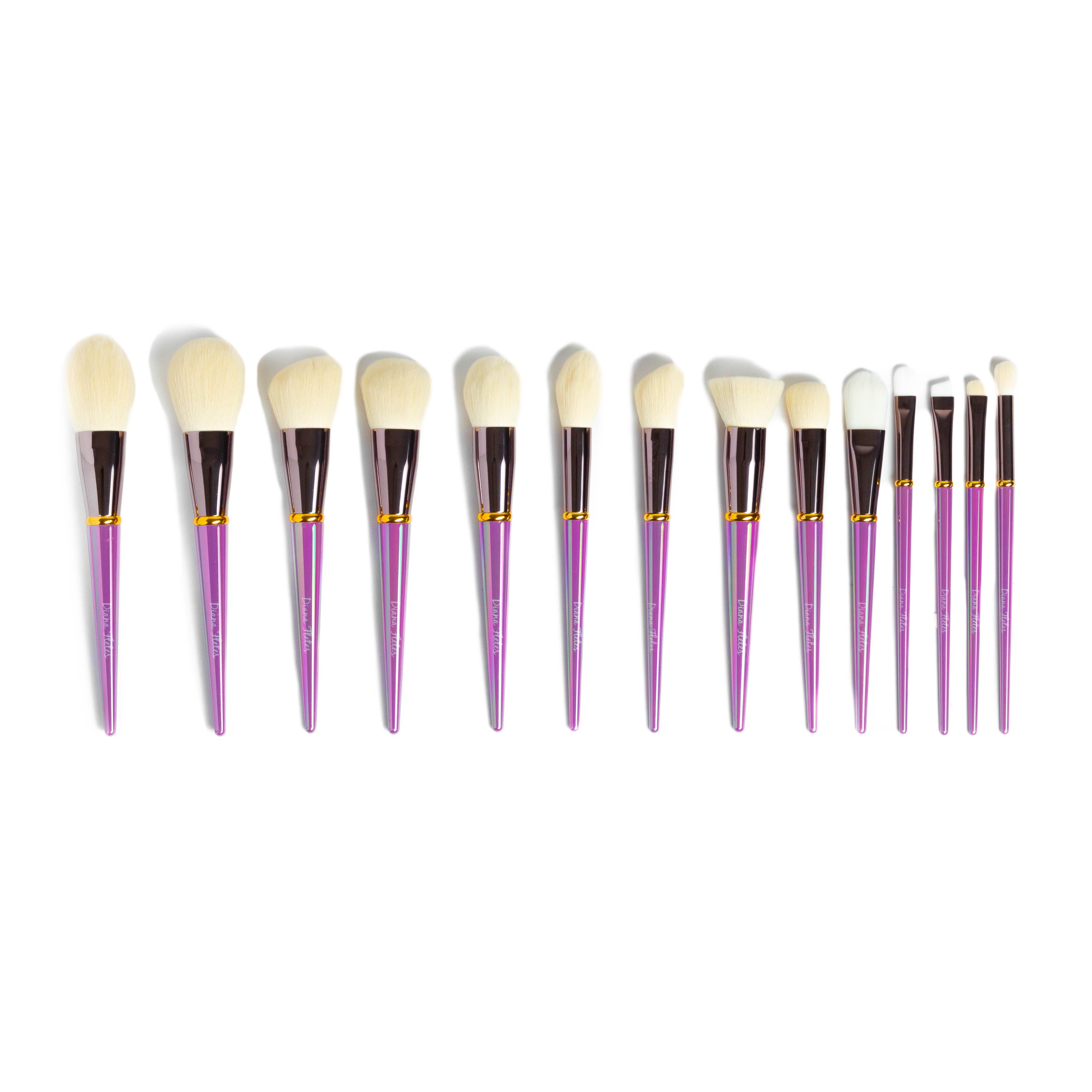 Set De 15 Brochas TORNAZOL Profesionales