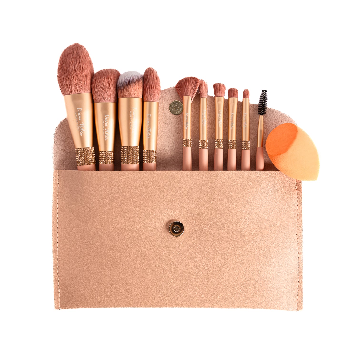 Diana Fletes Professional Brush Set
